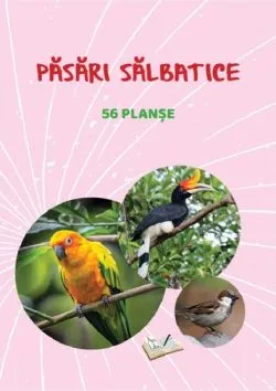 Planse: Pasari salbatice de Anonim