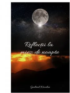 Reflectii la miez de noapte de Gabriel Niculae