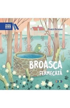 Broasca fermecata