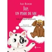 Jup, un pisoi de soi, volumul 6. Cele trei reguli ale greselii de Alec Blenche