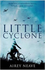Little Cyclone
