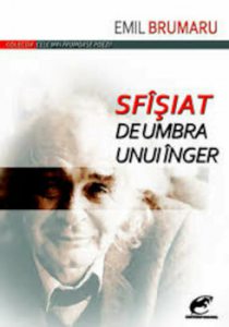 Sfisiat de umbra unui inger. Ed. 2016