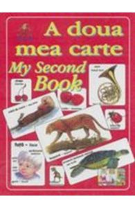 A doua mea carte