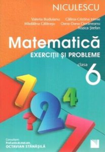 Matematica. Exercitii si probleme pentru clasa a VI-a