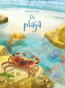 Pe plaja (Usborne)