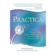 Practica. Instrumente simple pentru combaterea stresului, gasirea linistii interioare si descoperirea fericirii