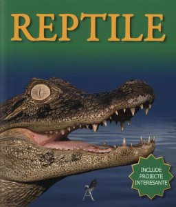 Reptile