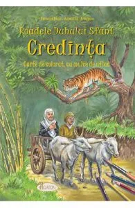 Roadele Duhului Sfant Vol.4: Credinta de Amalia Dragne