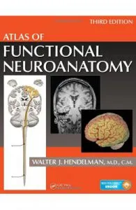 Atlas of Functional Neuroanatomy de Walter Hendelman