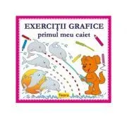 Exercitii grafice. Primul meu caiet de Diana Rotaru