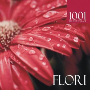 Flori