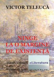 Ninge la o margine de existenta
