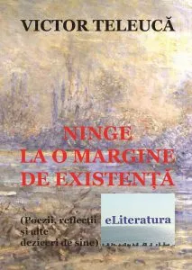 Ninge la o margine de existenta