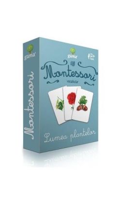 Vocabular. Lumea plantelor (2  ani) Cărți de joc