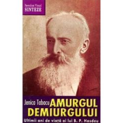 Amurgul demiurgului