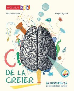 C de la creier