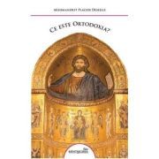 Ce este Ortodoxia. Cateheze pentru adulti