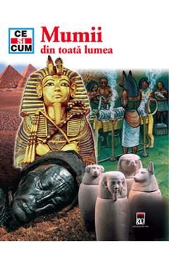 Ce si cum