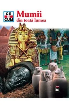 Ce si cum