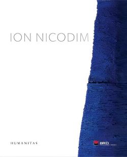 Ion Nicodim