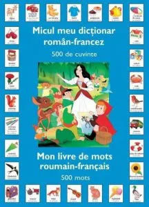 Micul meu dictionar roman-francez. 500 de cuvinte de Van Gool