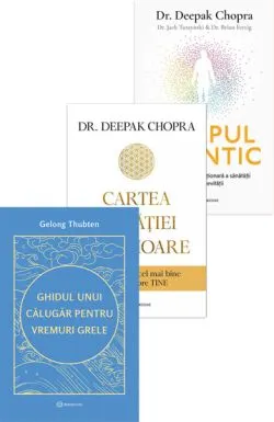 Pachet Cultivarea darurilor interioare de Dr. Brian Fertig