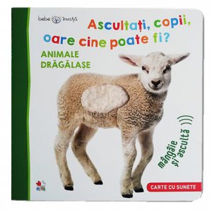 Bebe invata - Ascultati, copii, oare cine poate fi?