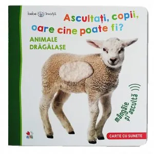 Bebe invata - Ascultati, copii, oare cine poate fi?