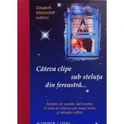 Cateva clipe sub steluta din fereastra de Elisabeth Mittelstadt