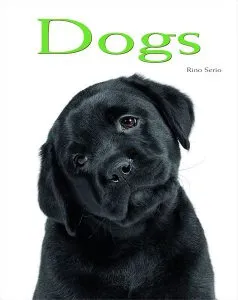 Dogs: Pocket Book de Rino Serio