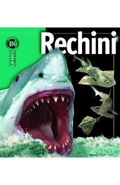 Rechini