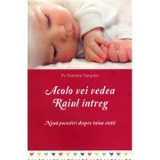 Acolo vei vedea Raiul intreg. Noua povestiri despre taina vietii