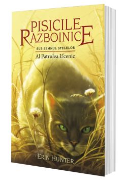 Al patrulea ucenic
