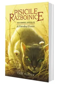 Al patrulea ucenic