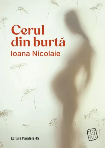 Cerul din burtă de Ioana Nicolaie