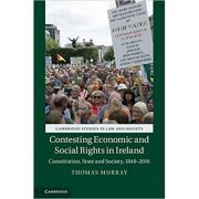 Contesting Economic and Social Rights in Ireland: Constitution, State and Society, 1848–2016