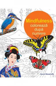 Mindfulness: Coloreaza dupa numere