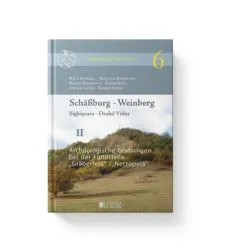 Schassburg-Weinberg. Sighisoara-Dealul Viilor de Adrian. Ionita