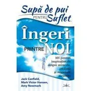 Supa de Pui pentru Suflet. Ingeri Printre noi. 101 Povesti inspirationale despre miracole, credinta si rugaciuni ascultate de Jack Canfield