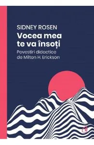 Vocea mea te va insoti de Sidney Rosen