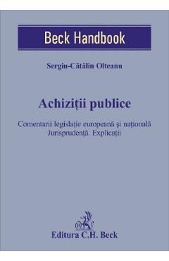 Achizitii publice