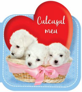 Culcusul meu