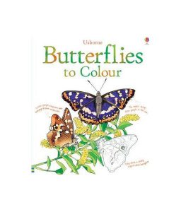 Butterflies to Colour