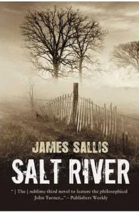 Salt River de James Sallis