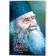 Sfantul Sofronie Saharov, experienta unei intalniri