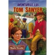 Aventurile lui Tom Sawyer de Mark Twain