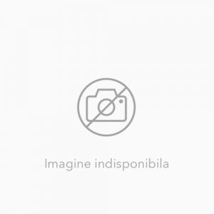 Muzica si miscare - manual pentru clasa III-a