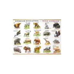 Plansa: Animale domestice