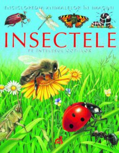 Insectele pe intelesul copiilor
