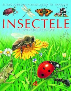 Insectele pe intelesul copiilor de Emilie Beaumont